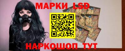 винт Котовск