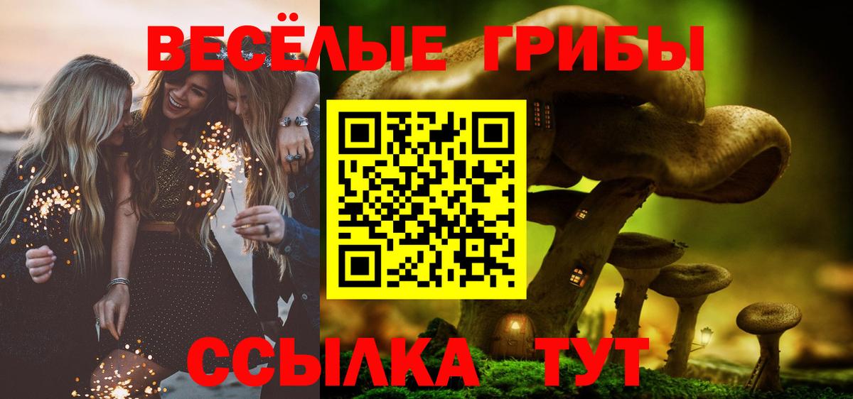 Галлюциногенные грибы Cubensis Еманжелинск